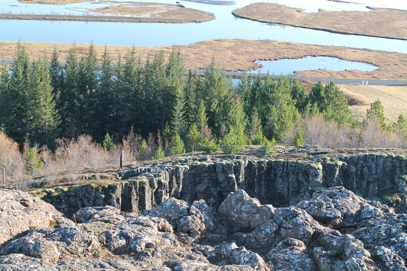 GOLDEN CIRCLE