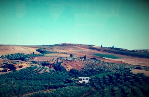 Natur pur auf dem Weg nach Meknes
