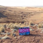 Auch unsere MOVE durfte mit in die Wüste