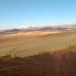 Namib Wüste