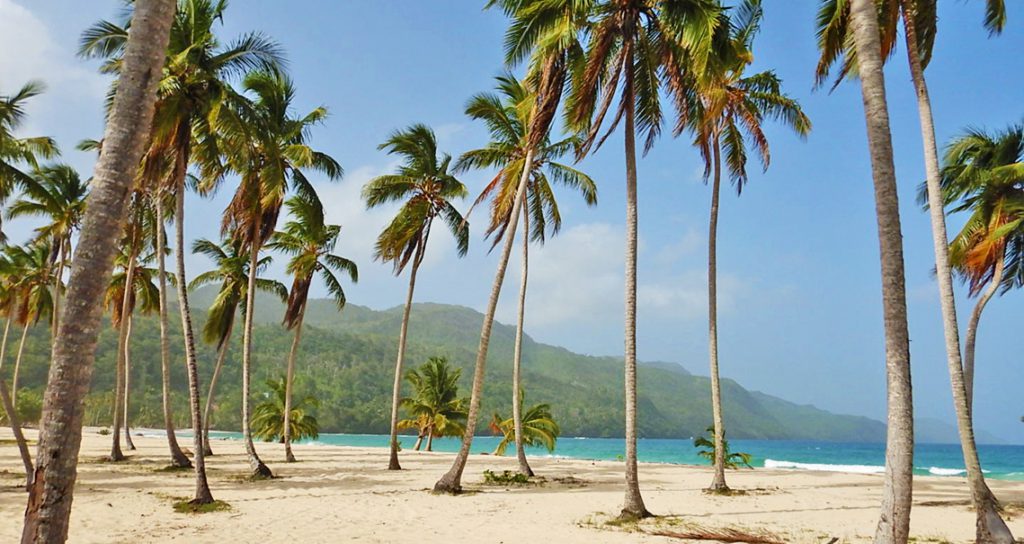 Playa Rincon - Samaná