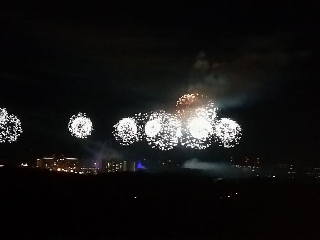 Disney World Feuerwerk vom Four Seasons Resort Orlando