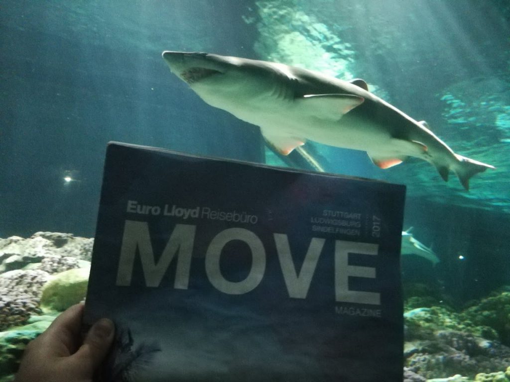 Move on Tour | Sea World Resort