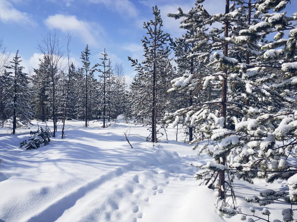 Schneeschuhwanderung