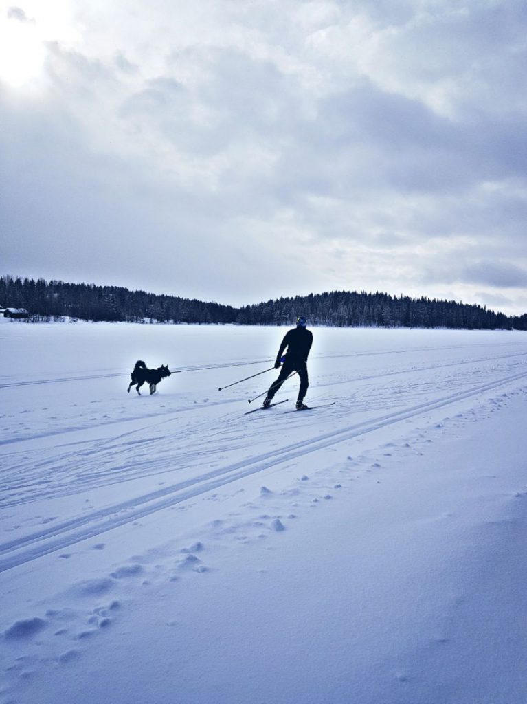 Skilanglauf