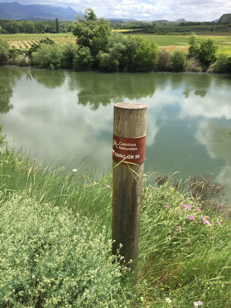 Der Río Ebro inmitten der Weinregion Rioja