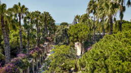 TUI Magic Life Belek