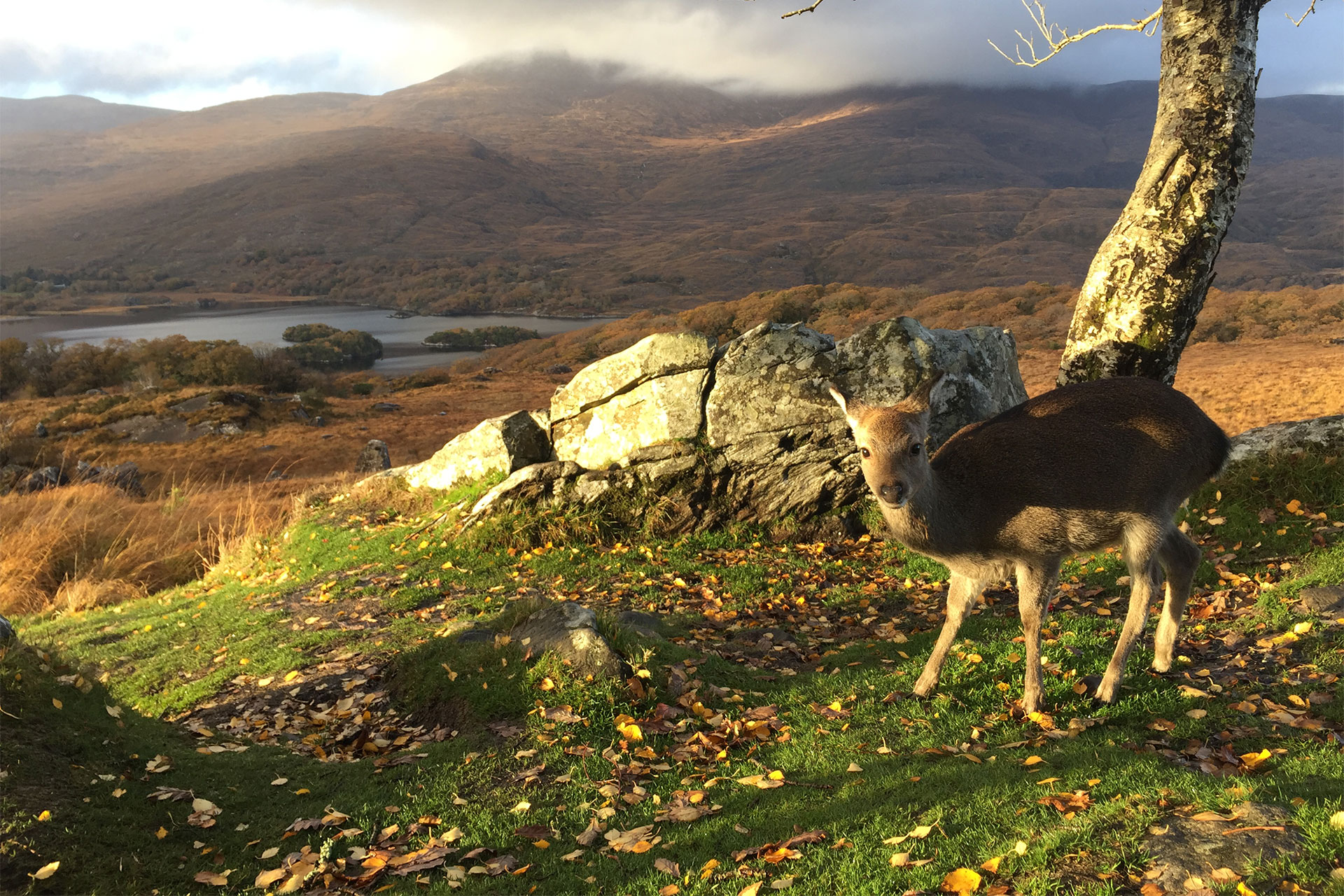 Killarney Nationalpark