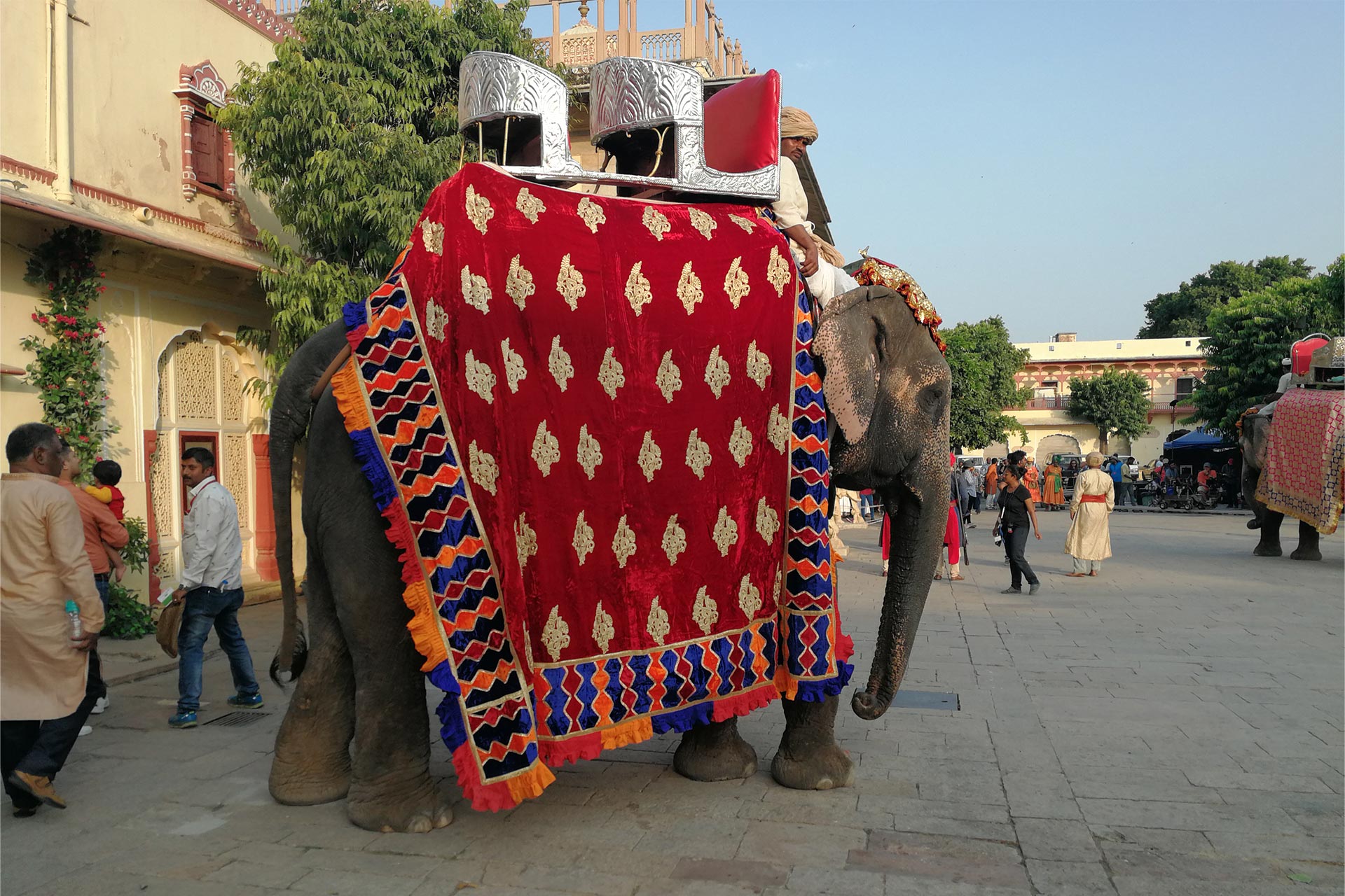 Elefant