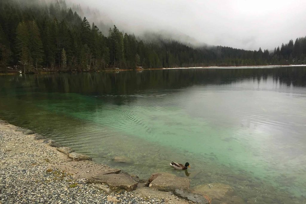 Jägersee bei Kleinarl