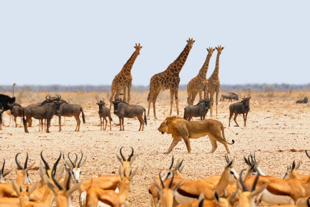 Namibia