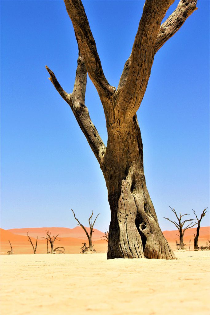 Damaraland