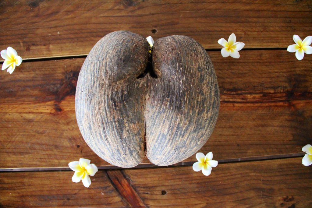 Coco de Mer
