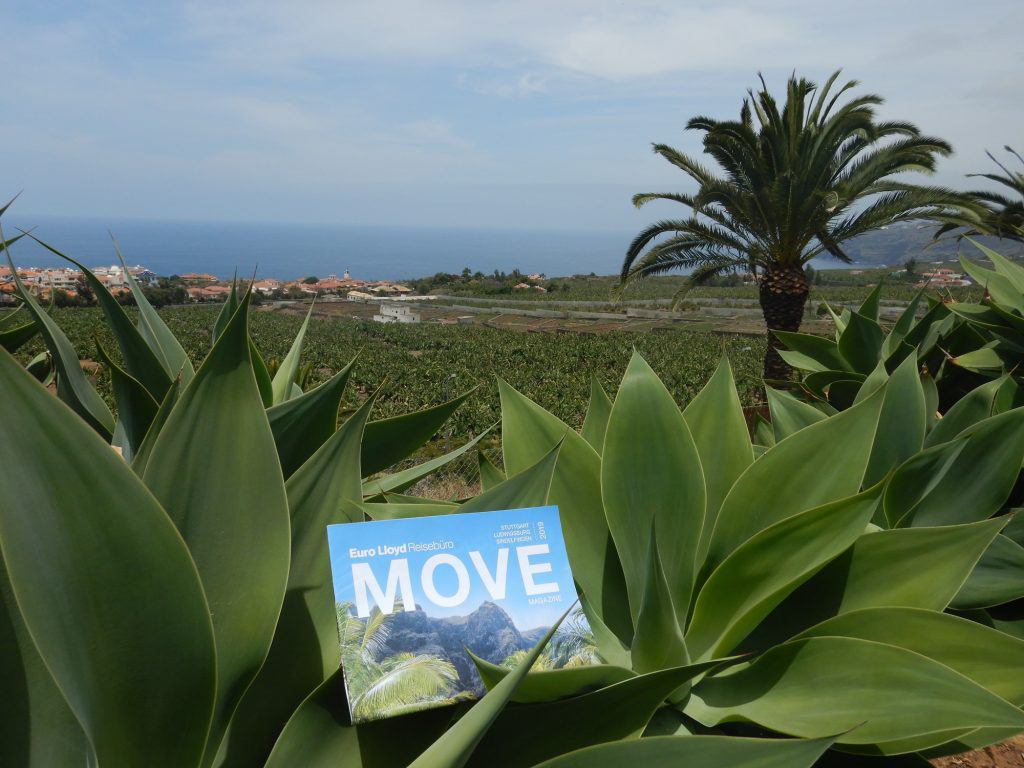 Teide-Nationalpark – MOVE on TOUR