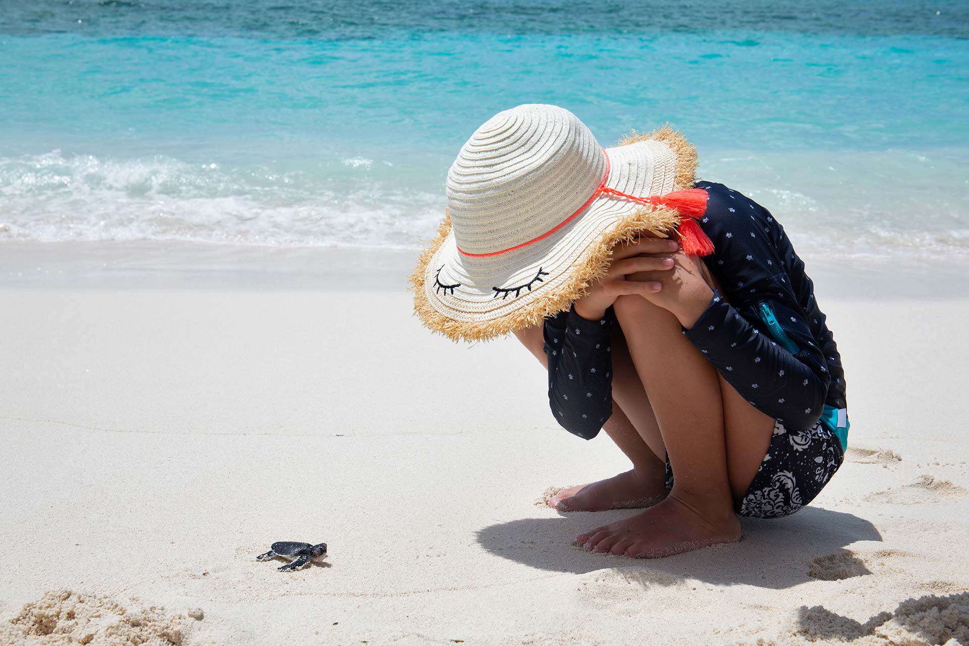 Six Senses Laamu - Babyturtle