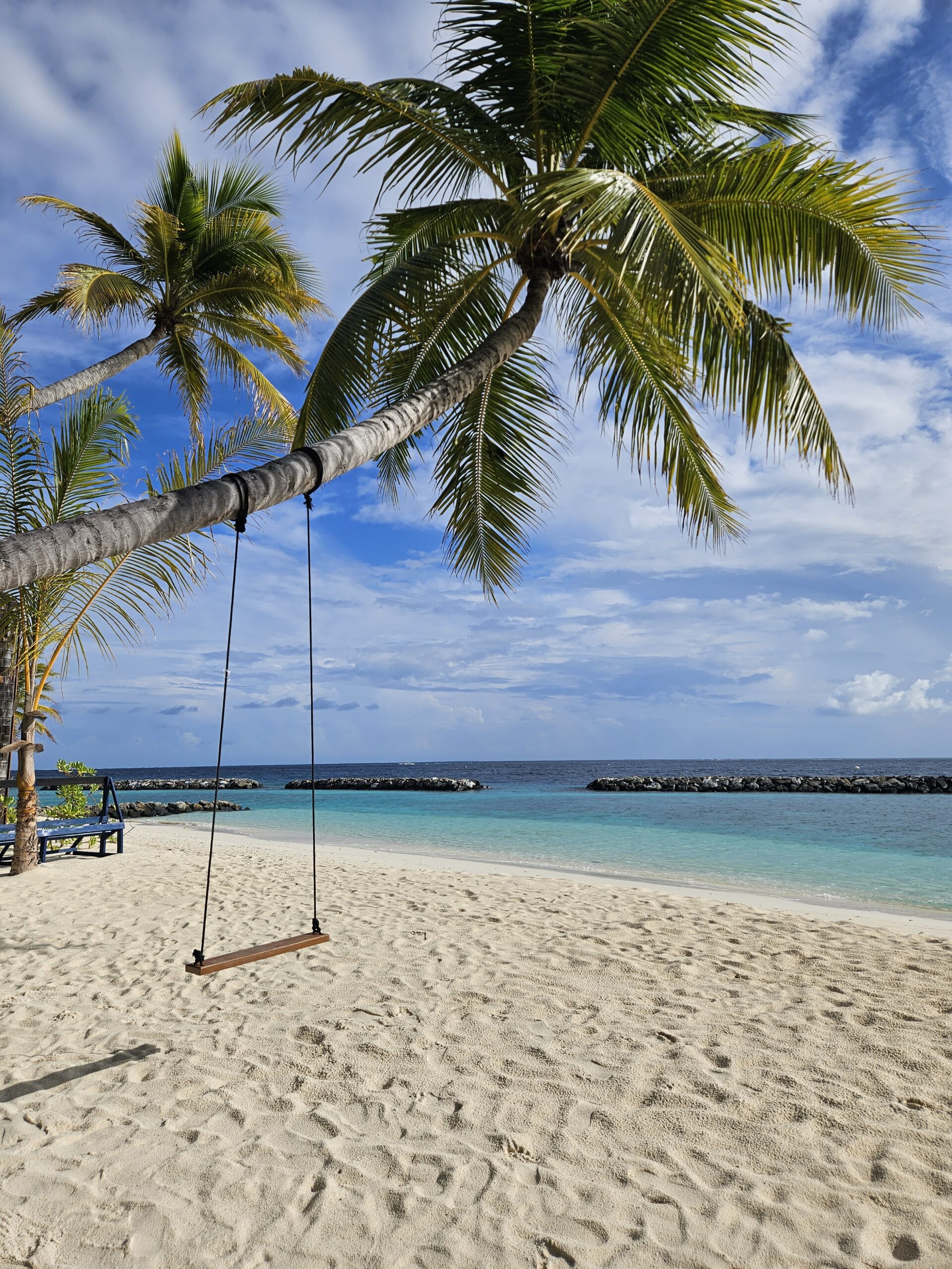 Palmen am weißen Strand von Vommuli