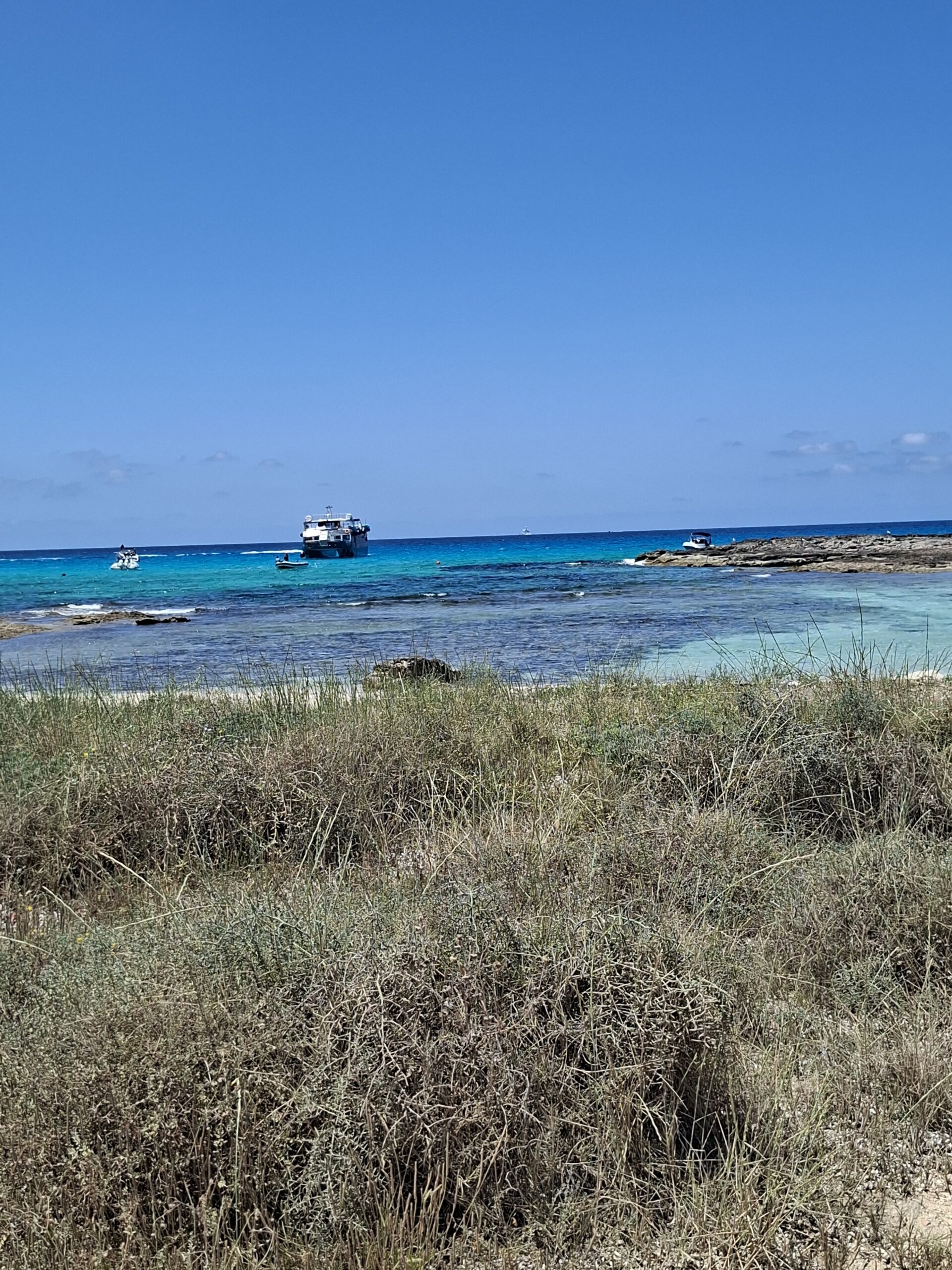 Natur und Landschaft auf Formentera