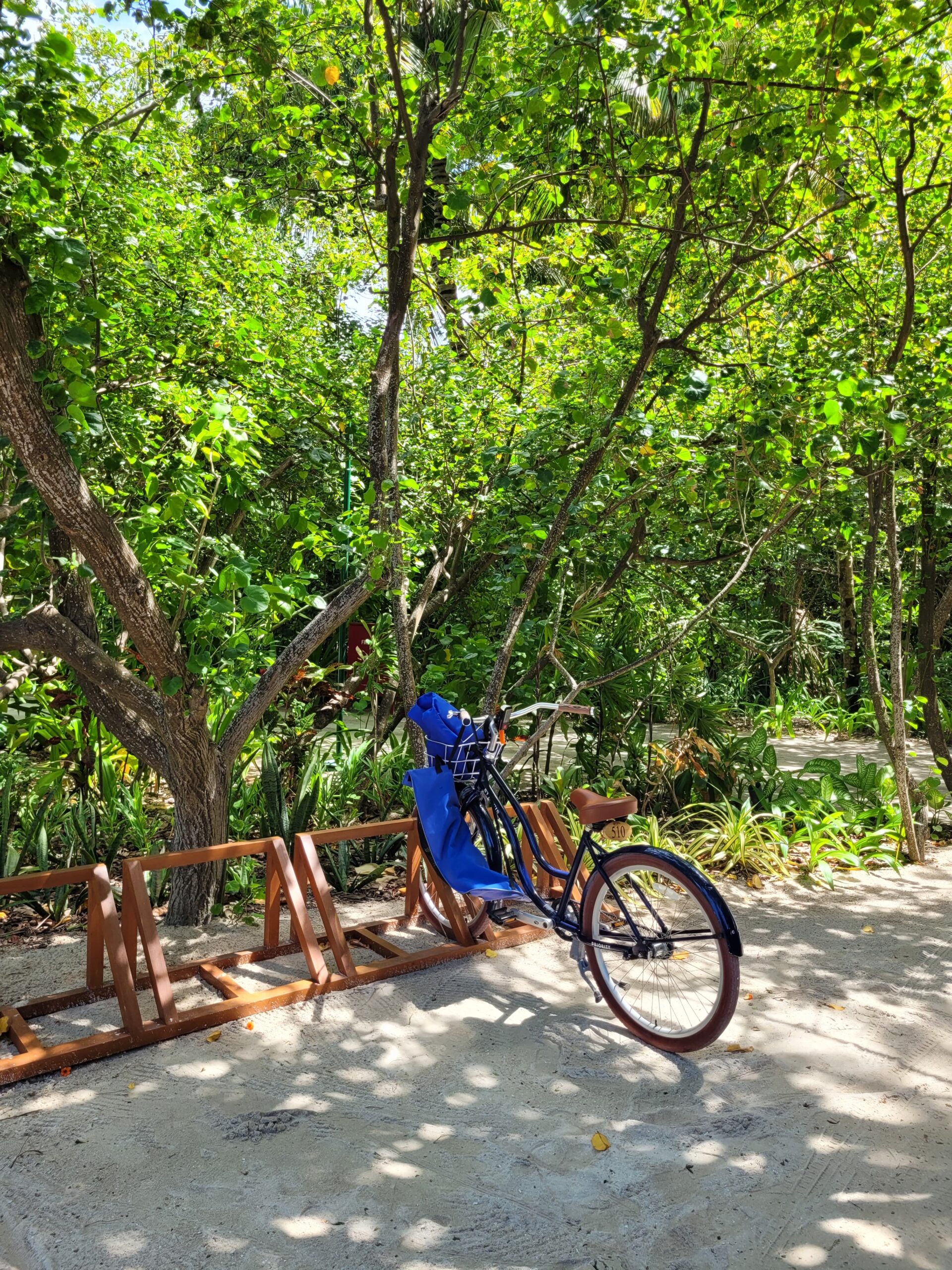 Fahrrad auf einem grünen Weg durch die Insel