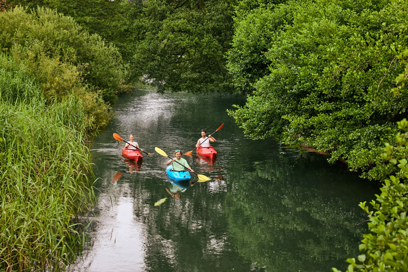 Gruppe in bunten Kajaks auf einem von Bäumen gesäumten Wasserlauf