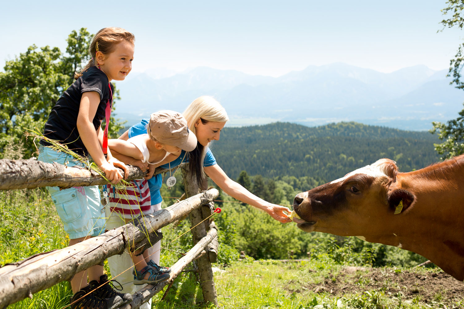 Familie begegnet einer Kuh am Weidezaun vor einem Bergpanorama